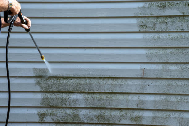Best Property Management Cleanouts  in Phoenix, NY