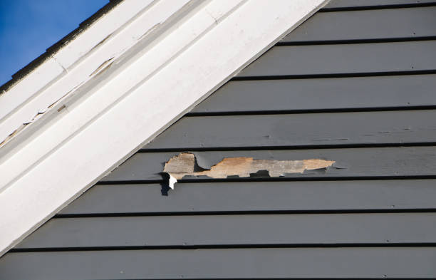 Best Shed Removal  in Phoenix, NY
